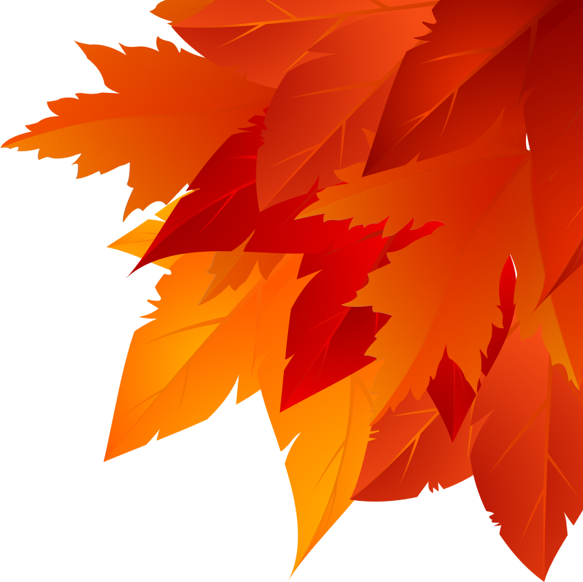 fall sales leaves 1