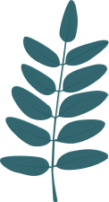 sale leaf 2 sale leaf 2